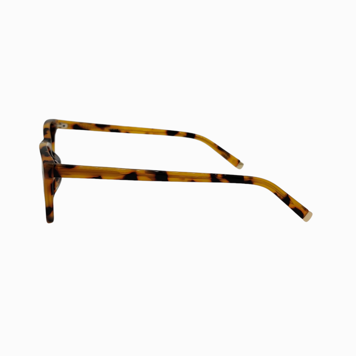 MOSCOT-ALEX-NT