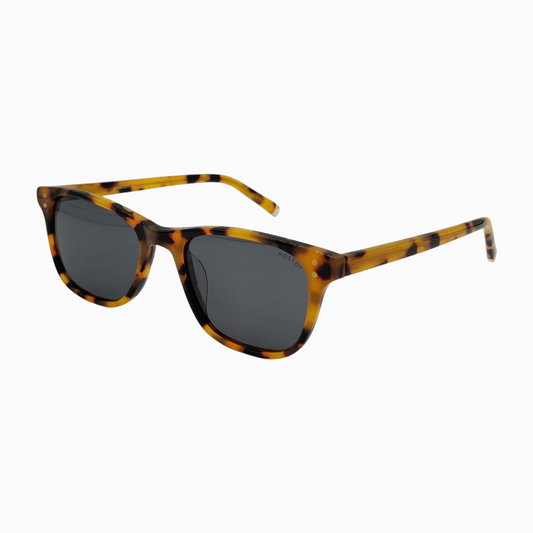 MOSCOT-ALEX-NT
